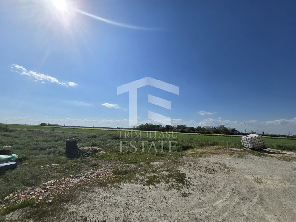 OVIDIU-POIANA- Vila tip duplex cu terasa circulabila.