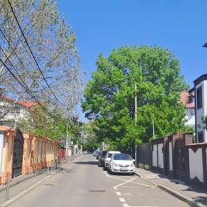 Proprietate deosebita | Moderna | Brancoveanu