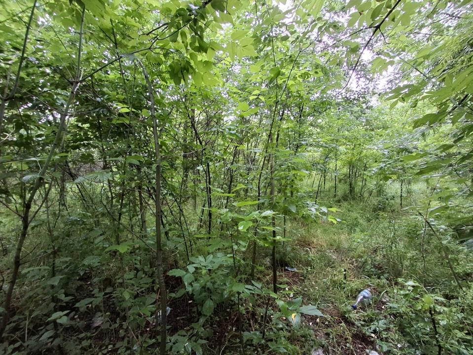 De Vanzare Teren Giulesti 